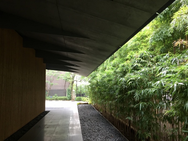 Oasis Mini-Garden in a bowl  Omotesandō – Omotesandō Plants