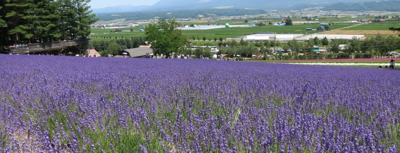 Hokkaido BIEI 北海道　美瑛, special cottage to stay, canyoning, natural blessings