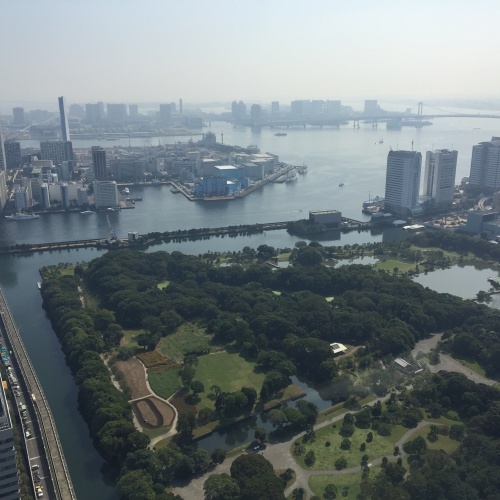 Take a Tokyo River Cruise and enjoy the view from SUMIDA river