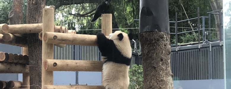 Ueno Zoo